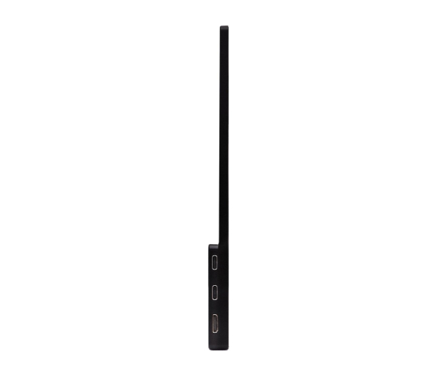 Acer PM161QTBMIUUUX - 1527205 - zdjęcie 5